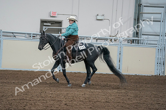 2020 - AB Morgan Horse - Fri, Sept 04 - 00470