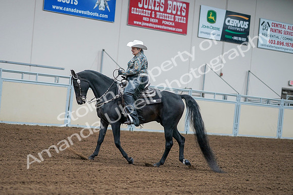2020 - AB Morgan Horse - Fri, Sept 04 - 03596