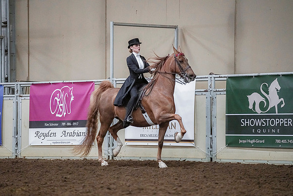 Spring Fling - Saturday - April 20, 2019  -  04217