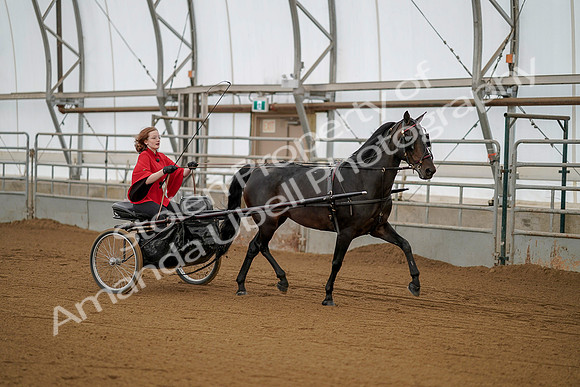 July 20, 2019 - 00221