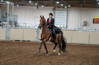 2020 - AB Morgan Horse - Sat, Sept 05 - 06692