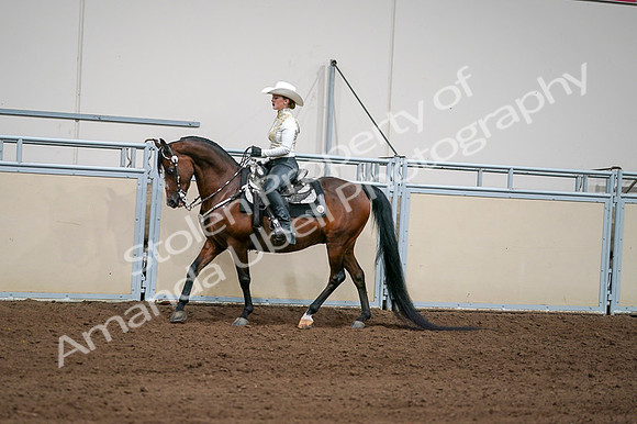 2020 - AB Morgan Horse - Fri, Sept 04 - 08360