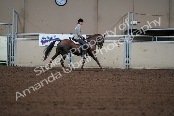 2019 Morgan Horse Show - Aug 30, 2019 - 18579