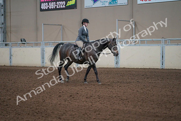 2019 Morgan Horse Show - Sept 01, 2019 - 11074