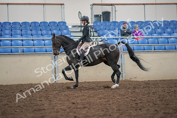 2019 Morgan Horse Show - Aug 30, 2019 - 20397