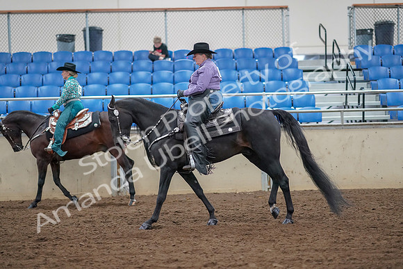 2019 Morgan Horse Show - Aug 30, 2019 - 16892