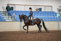 2019 Morgan Horse Show - Aug 30, 2019 - 13887