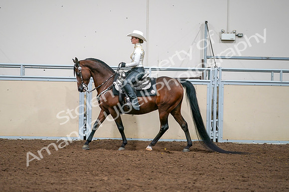 2020 - AB Morgan Horse - Fri, Sept 04 - 08374