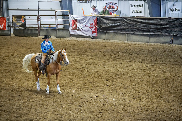DSC02013