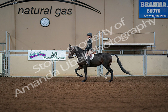 2019 Morgan Horse Show - Aug 30, 2019 - 23250