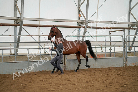 July 19, 2019 - 1244