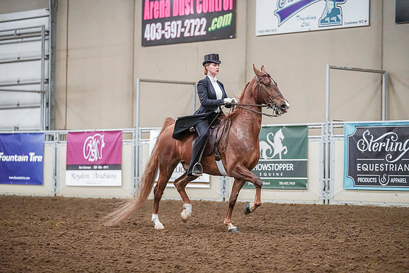 Spring Fling - Saturday - April 20, 2019  -  04193
