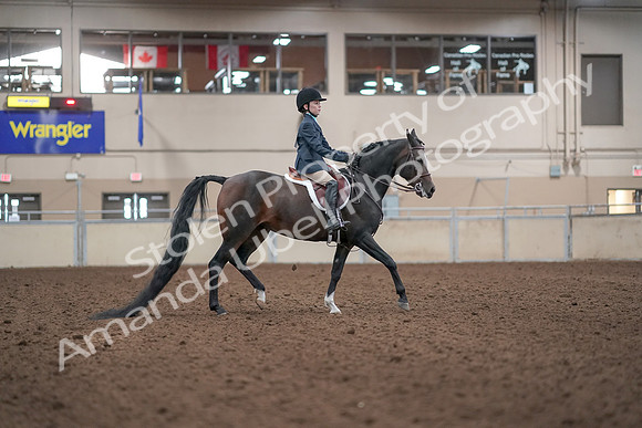 2019 Morgan Horse Show - Aug 31, 2019 - 19608