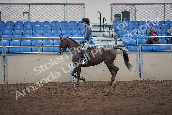 2019 Morgan Horse Show - Aug 31, 2019 - 16568