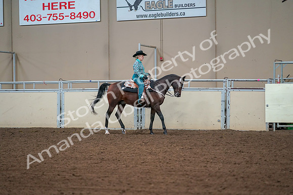 2019 Morgan Horse Show - Aug 30, 2019 - 17050
