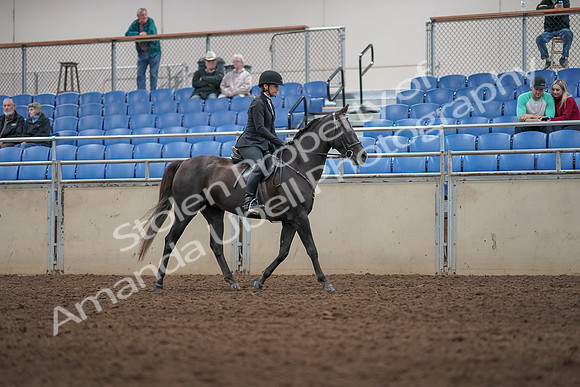2019 Morgan Horse Show - Aug 31, 2019 - 07380