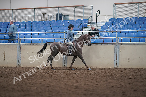 2019 Morgan Horse Show - Aug 31, 2019 - 16758