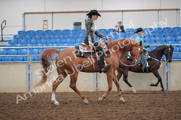 2019 Morgan Horse Show - Aug 30, 2019 - 16979