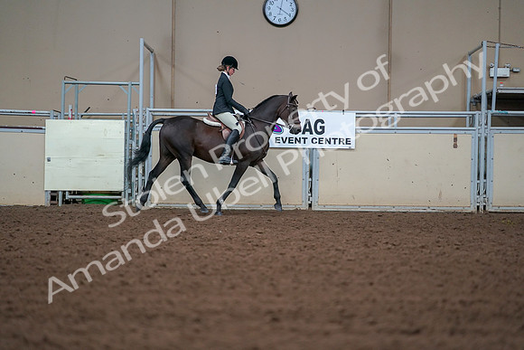 2019 Morgan Horse Show - Aug 30, 2019 - 20816