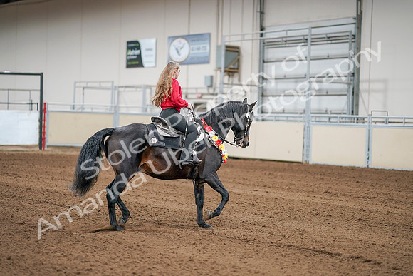 2020 - AB Morgan Horse - Sat, Sept 05 - 10441