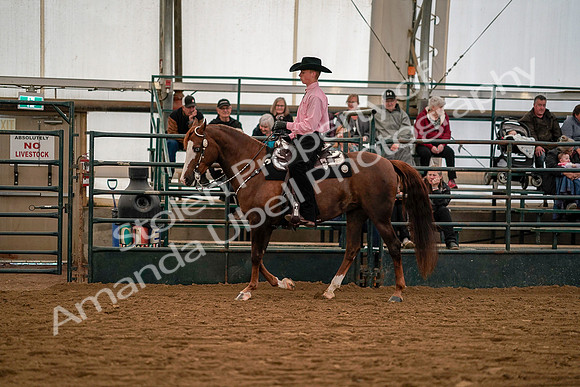 July 19, 2019 - 10037
