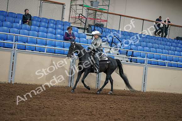 2020 - AB Morgan Horse - Fri, Sept 04 - 03551