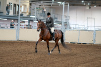 2020 - AB Morgan Horse - Fri, Sept 04 - 02228