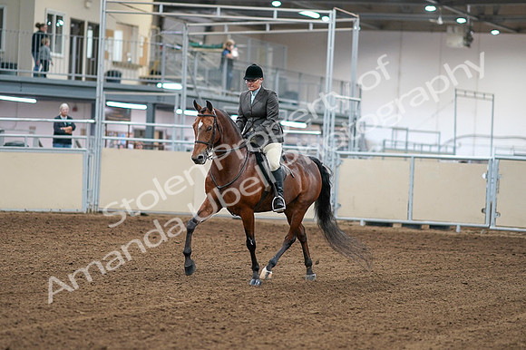2020 - AB Morgan Horse - Fri, Sept 04 - 02228