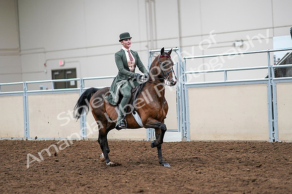 2020 - AB Morgan Horse - Fri, Sept 04 - 03411