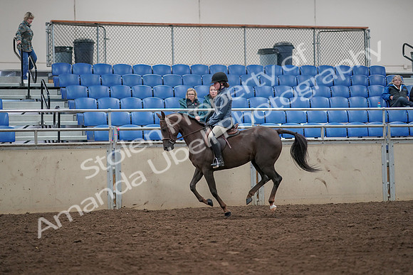 2019 Morgan Horse Show - Aug 31, 2019 - 07335