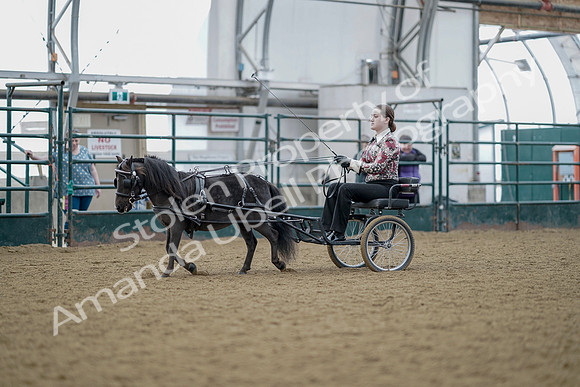 July 21, 2019 - 05980