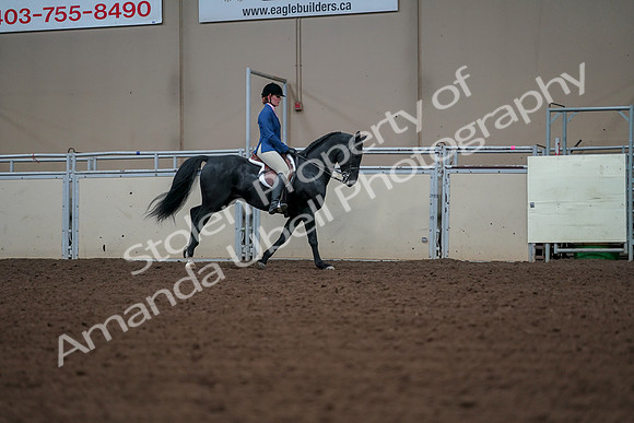 2019 Morgan Horse Show - Aug 30, 2019 - 18609