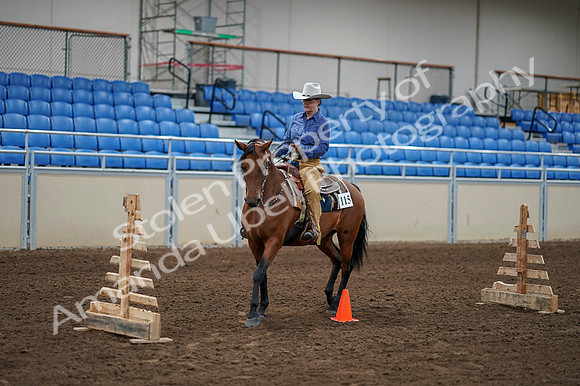 2020 - AB Morgan Horse - Fri, Sept 04 - 00178