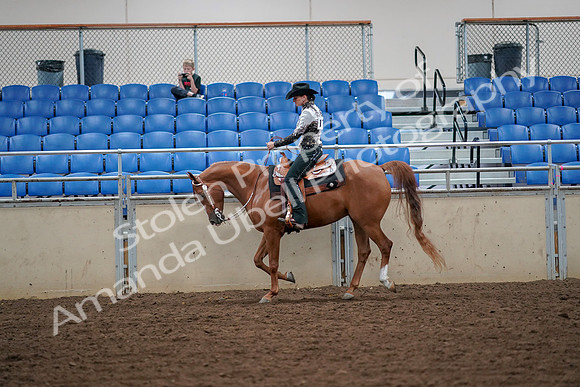 2019 Morgan Horse Show - Aug 30, 2019 - 16854
