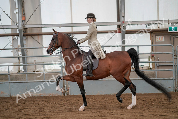 July 20, 2019 - 02159