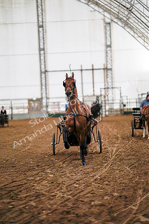 July 19, 2019 - 6786