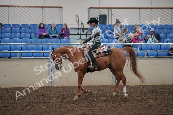 2019 Morgan Horse Show - Aug 30, 2019 - 26112