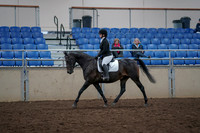 2019 Morgan Horse Show - Aug 31, 2019 - 16494