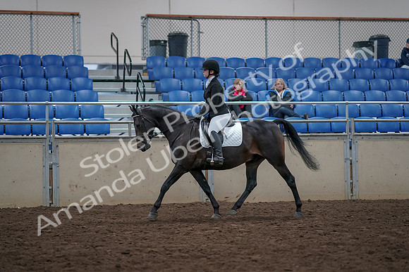2019 Morgan Horse Show - Aug 31, 2019 - 16494