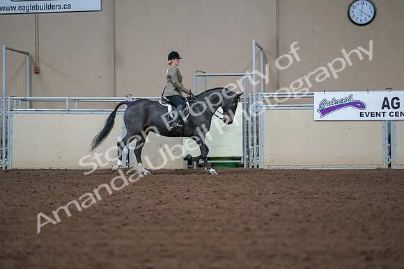 2019 Morgan Horse Show - Aug 30, 2019 - 20727