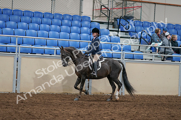 2020 - AB Morgan Horse - Sun, Sept 06 - 07744