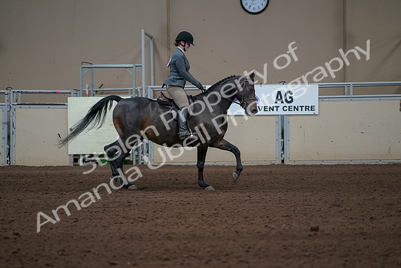 2019 Morgan Horse Show - Sept 01, 2019 - 11056