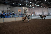 2019 Morgan Horse Show - Aug 31, 2019 - 01484