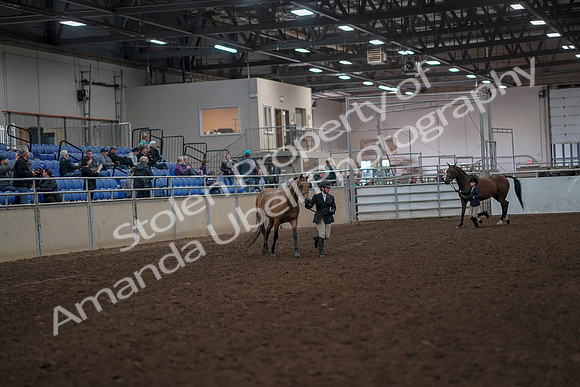 2019 Morgan Horse Show - Aug 31, 2019 - 01484