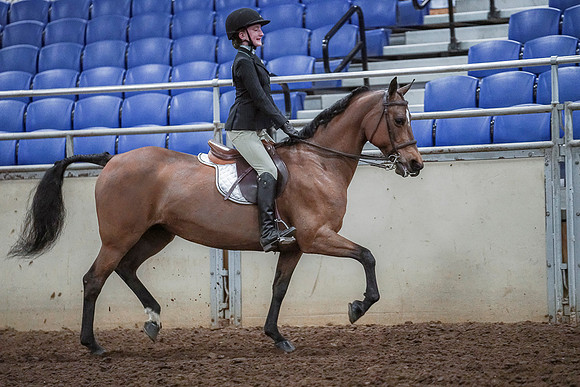 Spring Fling - Saturday - April 20, 2019  -  03840