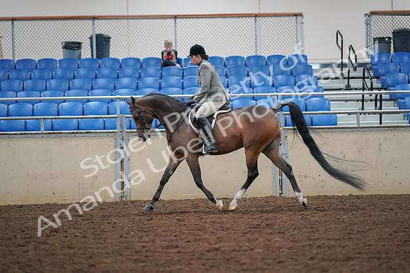 2019 Morgan Horse Show - Aug 30, 2019 - 17300
