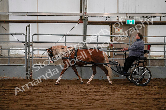 July 19, 2019 - 7081