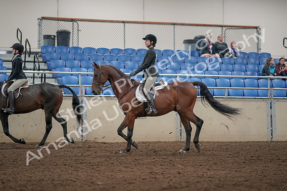2019 Morgan Horse Show - Aug 31, 2019 - 04934