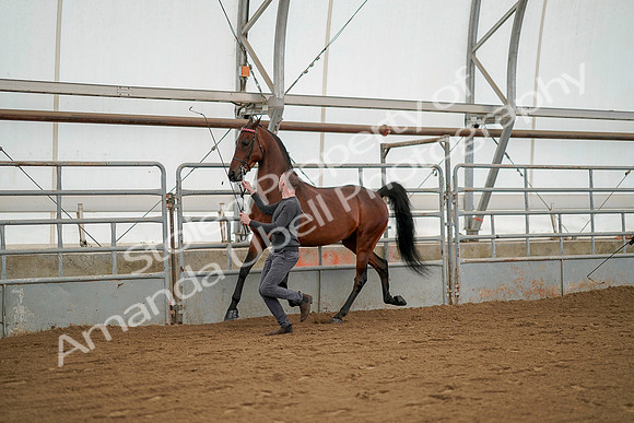 July 19, 2019 - 1237