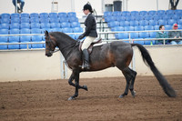 2019 Morgan Horse Show - Sept 01, 2019 - 04010